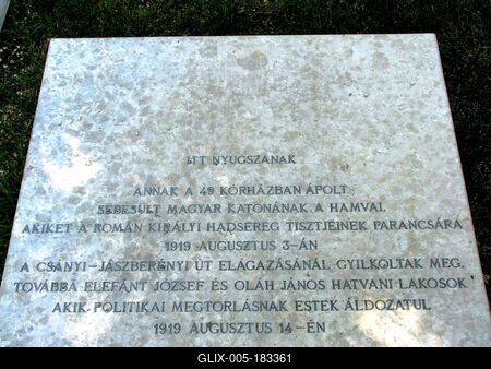 Grave of Hungarian soldiers -Hatvan - Romanian Army-stock-foto