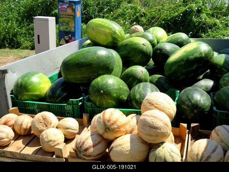 Melons and watermelons at the Ráckeve market - Fruits-stock-foto