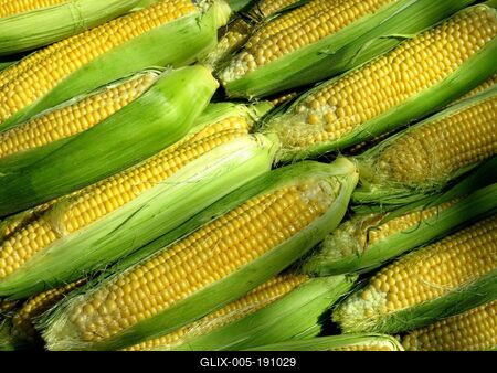 Corn on the Ráckeve market - Hungary-stock-foto