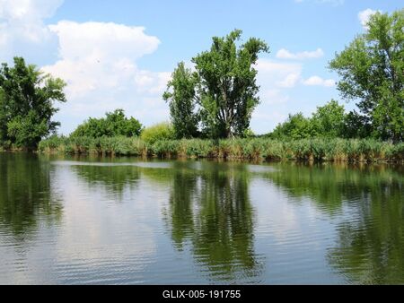 Szajol - Dead Tisza river branch - Hungary - Nature - Environment-stock-foto