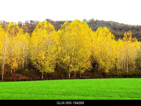 Autumn landscape at the border of Vanyarc - Hungary - Nature-stock-foto