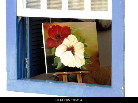 Painting - Hibiscus - Ouro Preto - Brazil-stock-foto