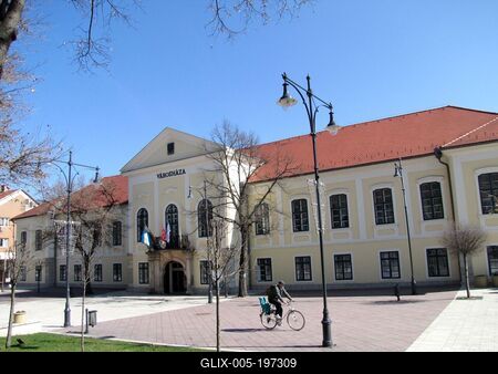 The City Hall of Sátoraljaújhely - Hungary-stock-foto
