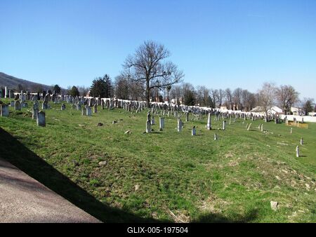 The Jewish cemetery -Sátoraljaújhely - Hungary-stock-foto