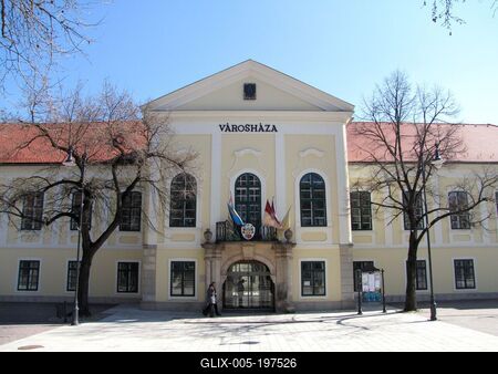 Town Hall - Sátoraljaújhely - Hungary-stock-foto