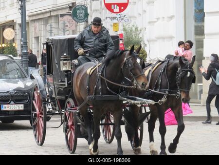 Fiacre on a street in Vienna - Austria - Tourism-stock-foto