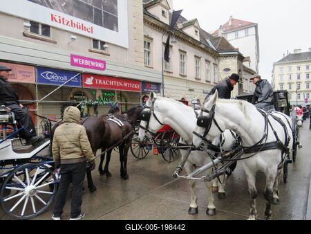 Vienna - Fiacres on Stephans Platz. - Austria-stock-foto