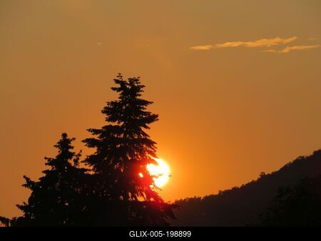 Nature - Sunset over the Nagykovács forest - Hungary-stock-foto