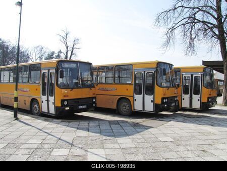 Borsosdvolán buses at the Railway Station of Sárospatak - Hungary-stock-foto
