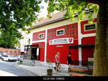 Museum of the History of Traditional Costume and Folk Architecture - Heszthely - Hungary-stock-foto