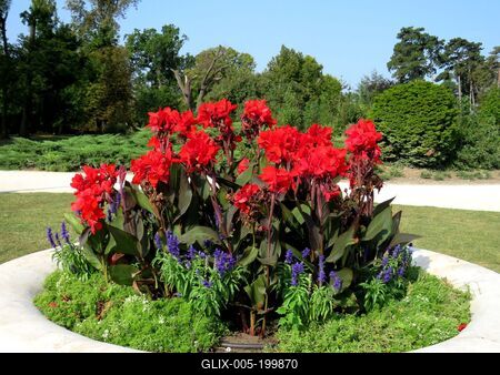 Flowers in the  Festetics Castle Park - Keszthely - Hungary-stock-foto