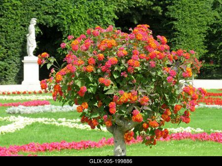 Schönbrunn palace park - Vienna-stock-foto