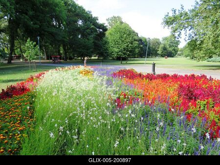 Nature - Summer color orgy on Margaret Island - Budapest-stock-foto