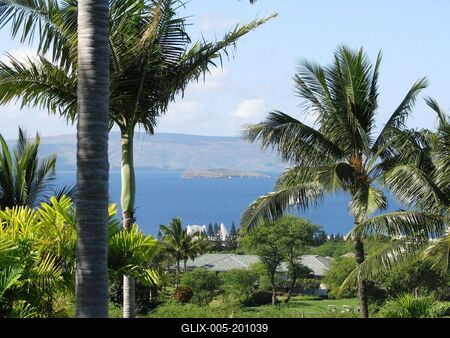 Resort on the island of Maui - Hawaii - Nature-stock-foto