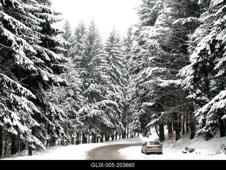 Detail of the Kékestető highway leading through the Mátra pine forests - Hungary-stock-foto