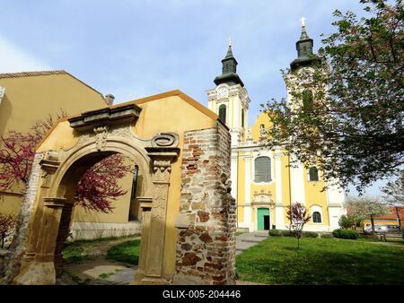 Neepomuk St. John Cistercian Church of Our Lady - Székesfehérvár - Hungary-stock-foto