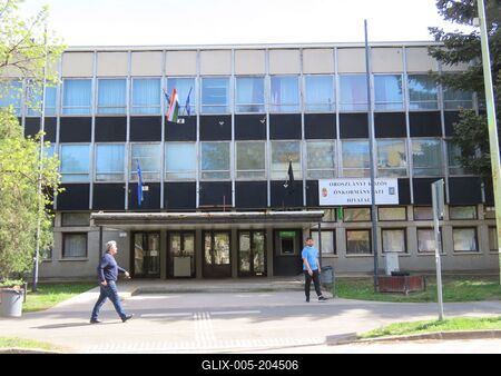 City Hall - Oroszlány - Hungary-stock-foto