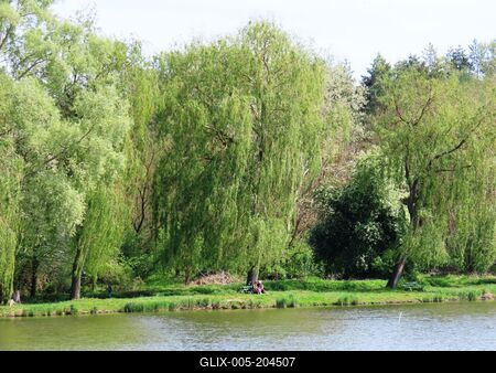 Lake of Majk - Hungary - Nature - Environment-stock-foto