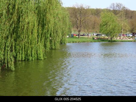 Lake of Majk - Hungary - Nature - Environment-stock-foto