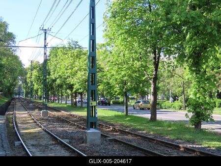 The Erzsébet Szilágy tree line - Budapest - Environment-stock-foto