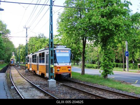 The Szilágyi Erzsébet tree row with trams - Budapest-stock-foto