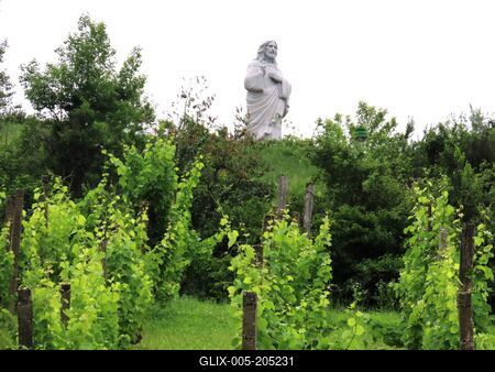 Blessing Christ statue - Tokaj - Vineyards - Hungary-stock-foto