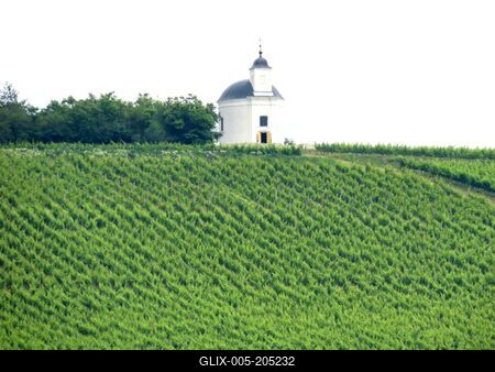 Tokaj wine region - Tarcal vineyard - Terézia chapel - Hungary-stock-foto