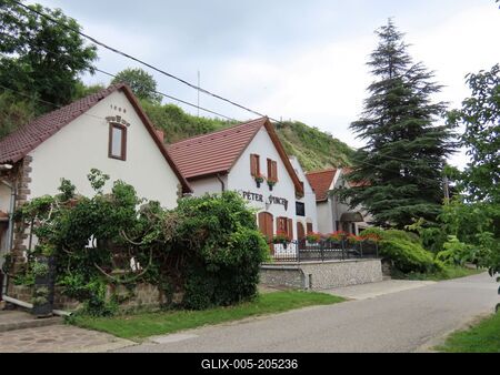 Tokaj - Wine cellars - Hubngarian historic wine region - Aszu-stock-foto