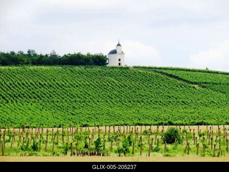 Tokaj wine region - Tarcal vineyard - Terézia chapel - Hungary-stock-foto