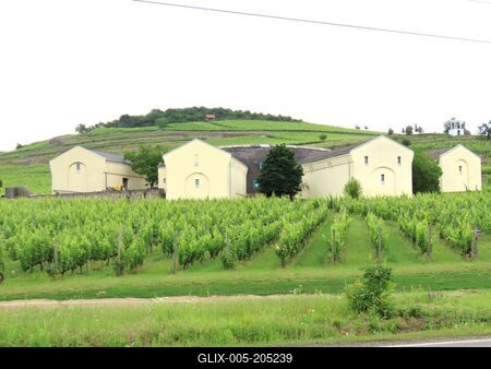 Mád - Tokaj wine region - Vineyaed - Cellars - Hungary-stock-foto