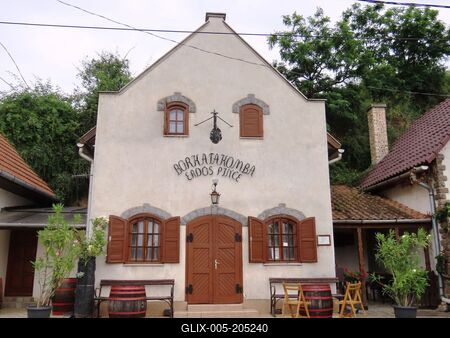 Tokaj - Wine cellar - Historic wine region - Aszu - Hungary-stock-foto