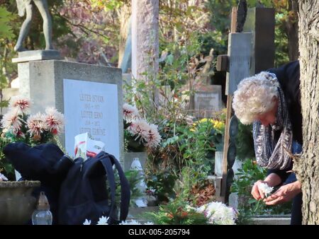 Day of Deads - Cemetery - Budapest - Woman with flower-stock-foto