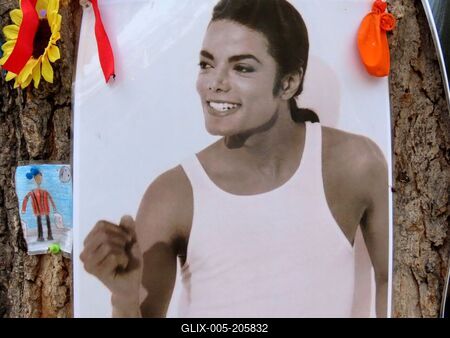 Michael Jackson's photo on the trunk of a memorial tree in downtown Budapest-stock-foto