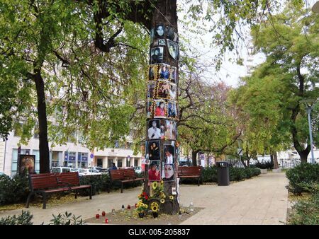 Michael Jackson memorial tree in downtown Budapest-stock-foto