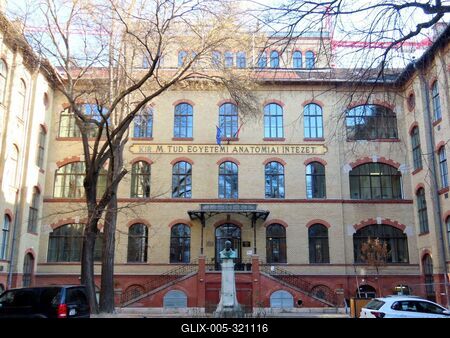 The Institute of Anatomy of the Semmelweis University of Sciences - Budapest-stock-foto