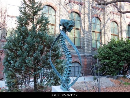 Dead teach the Living statue - Budapest - Anatomy Institute-stock-foto