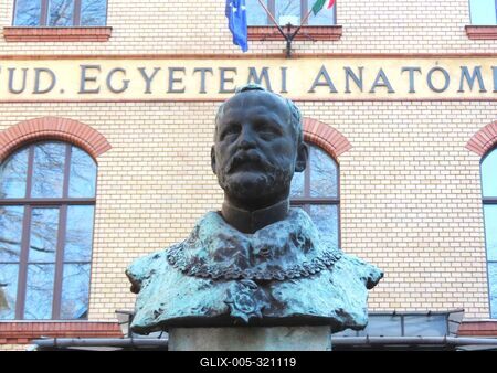Bust of Anatomy professor Géta Mihalkovics - Budapest - Institute of Anatomy of Hungarian Semmelweis Universizy of Sciences-stock-foto
