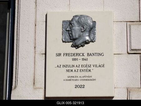 Relief portrait of Sir Frederick Banting - Insulin discoverer - Budapest-stock-foto