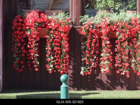 Budapest - The window of an Italian restaurant on József Boulevard-stock-foto