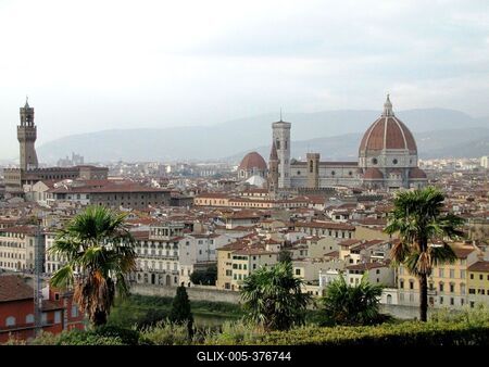 Florence - View - Firenze - Palms-stock-foto