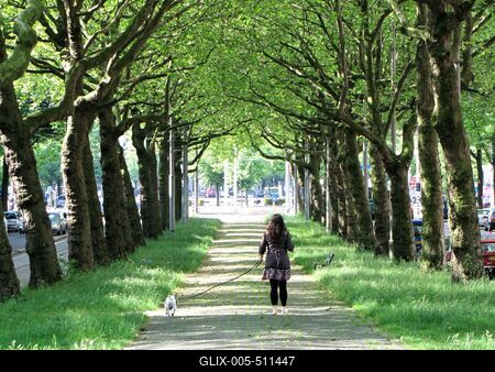 The Amstelveensee Weg Promenade.- Amsterdam-stock-foto