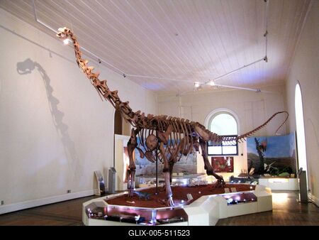 Rio de Janeiro, 25 January 2012. Maxacalisaurus topai skeleton. The herbivorous dinosaur was 9 tonnes and 13 meters long. The prehistoric find in the Brazilian National Museum is 80 million years old.Maxakalisaurus topai csontv?z. A n?v?nyev? dinosaurus 9 tonn?s volt, hossza 13 m?ter. A brazil nemzeti m?zeumban ki?ll?tott lelet 80 milli? ?ves.-stock-foto