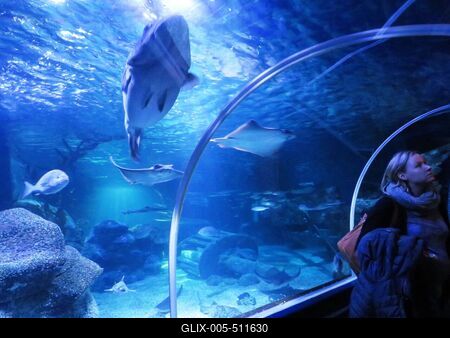 Berlin, 24 March 2018Visitors at the Aquadom aquarium.L?togat?k az Aqua Dom akv?riumban.-stock-foto