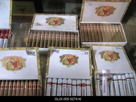 Havana, 25 January 2015Supply of worldwide famous cuban Cigars in the Partagas former factory cigar shop.Szivarf?l?k a Partagas vil?gh?r? kubai szivar- ?s doh?nygy?r egykori ?p?let?nek boltj?ban. Az ?p?let  ipari m?zeumnak ad otthont, ?s szivar?zlet m?k?dik benne.-stock-foto