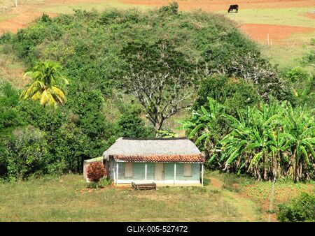 Vinales (Cuba), 27 January 2015Tropical farm in Vinales Valley of the Mogotes.Tr?pusi tanya a Vinales-v?lgyben, a Mogotes-ek: cukors?vegszer? karsztk?p alak? mag?nyos hegyek t?v?ben, Havann?t?l 200 kilom?ternyire nyugatra,(Pinar del Rio tartom?nyban.-stock-foto