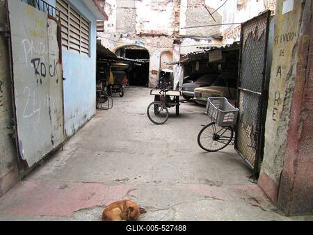 Havana, 25 January 2015Sleeping dog at the entry of a workshop.Alv? kutya egy belv?rosi aut?szerel? m?hely bej?rat?ban.-stock-foto