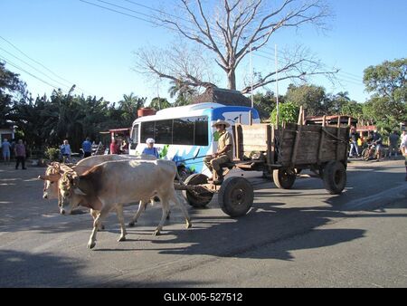 Col?n (Cuba), 31 January 2015An ocher chariot.?kr?s szek?r Col?n kisv?rosban.-stock-foto