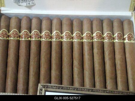 Havana, 25 January 2015Supply of worldwide famous cuban Cigars in the Partagas former factory cigar shop.Szivarf?l?k a Partagas vil?gh?r? kubai szivar- ?s doh?nygy?r egykori ?p?let?nek boltj?ban. Az ?p?let  ipari m?zeumnak ad otthont, ?s szivar?zlet m?k?dik benne.-stock-foto