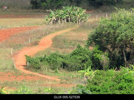 Vinales (Cuba), 27 January 2015Tropical environment of Vinales Valley of Mogotes.Vinales-v?lgyi tr?pusi t?j a Mogotes-ek, cukors?vegszer? karsztk?p alak? mag?nyos hegyek t?v?ben, Havann?t?l 200 kilom?ternyire nyugatra Pinar del Rio tartom?nyban.-stock-foto