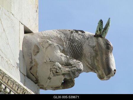 Pisa - Cathedral decoration - Capibara Head - Italy-stock-foto